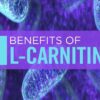 ال-کارنیتین
