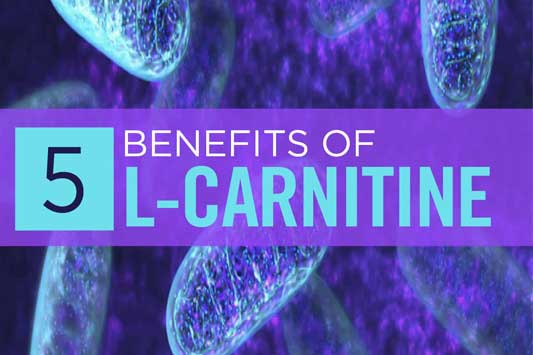 در مورد ال-کارنیتین بیشتر بدانیم